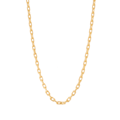 Gold box chain necklace on a white background