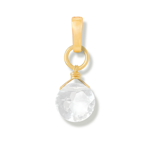 Crystal Coin Duet Charm