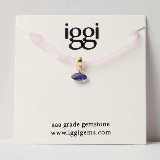 Iolite Marquise Cut 14K Gold-Filled Duet Charm