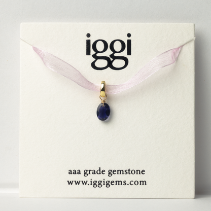 Iolite Oval Cut 14K Gold-Filled Duet Charm