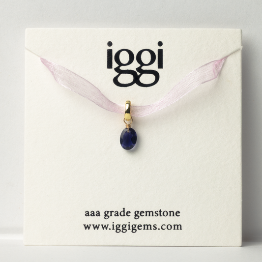 Iolite Oval Cut 14K Gold-Filled Duet Charm