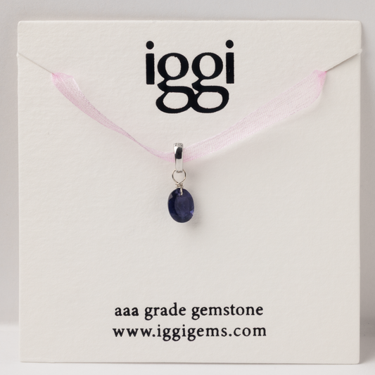 Iolite Oval Cut Sterling Silver-Filled Duet Charm